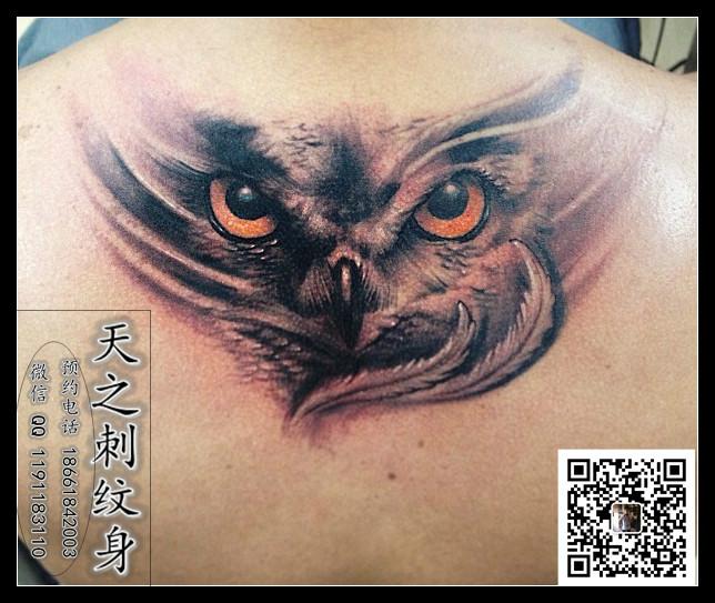 供应猫头鹰纹身图案蝎子纹身翅膀纹身图