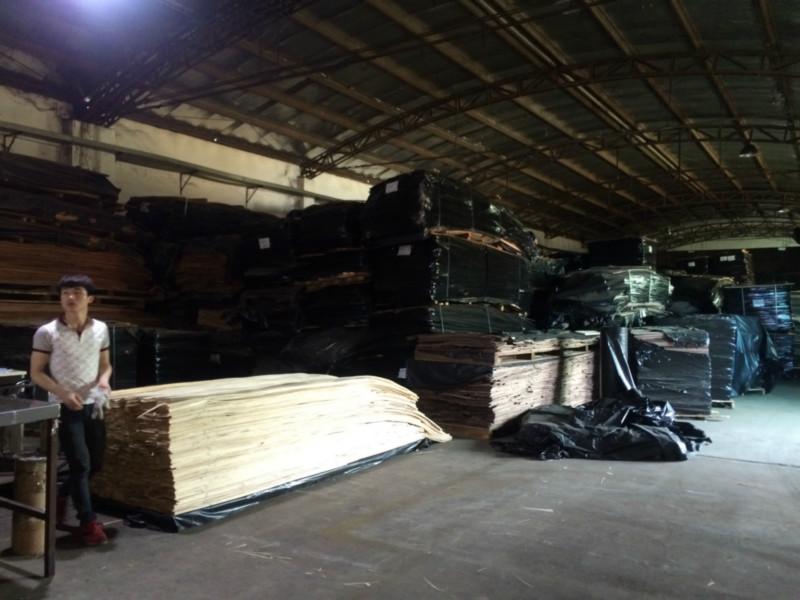 供应用于木皮生产的天然木皮 木皮封边条 白橡木皮