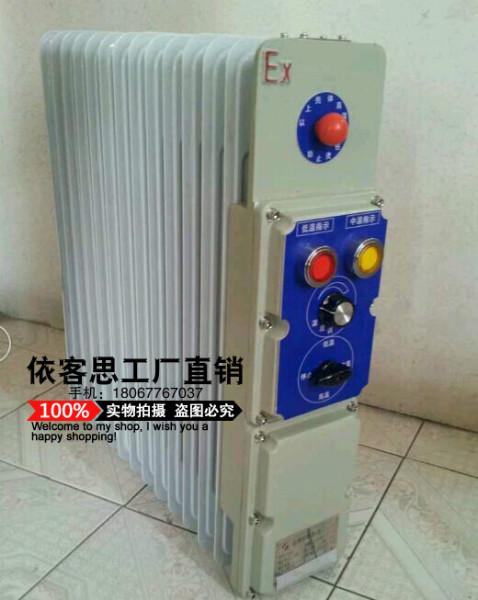 供应BDN-1500/9防爆电热油汀_防爆电暖气厂家直销