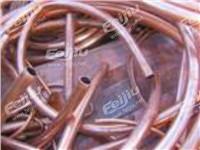 供应用于博罗废铜回收的惠州博罗废铜回收、博罗黄铜回收、博罗紫铜回收、博罗电缆铜回收