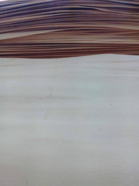供应旋切板杨木皮子大量出售杨木单板