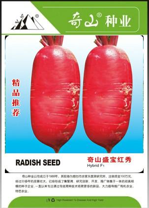 供应杂交种子盛宝红秀F1水萝卜种子应图片