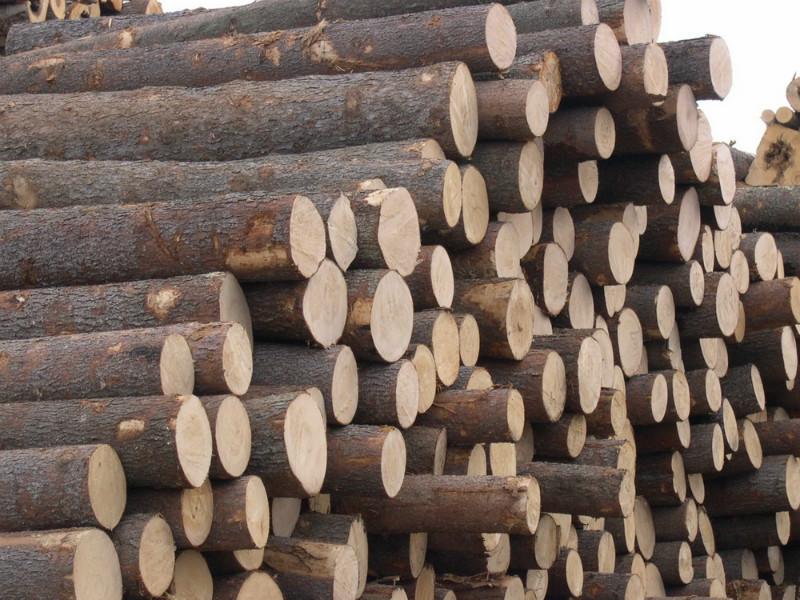 宁波木材进口报关流程价格批发