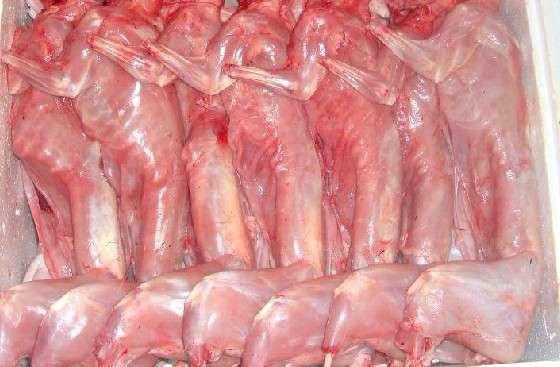 供应北京市区批发兔子肉