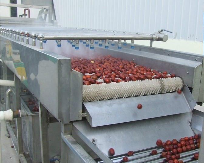 供应高压蔬菜冲洗机、新疆大红枣清洗机领先品牌