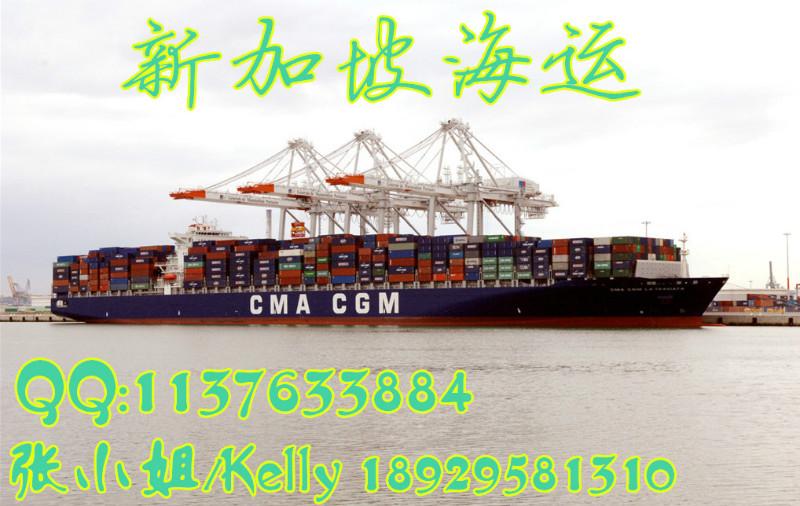 供应中国广州海运到新加坡 新加坡海运  国际海运