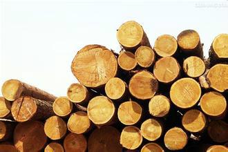 供应用于的非洲木材进口上海商检报关图片