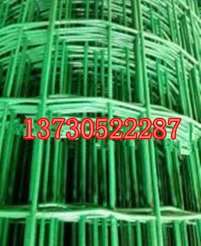 供应山西养兔绿色铁丝网，河北养兔绿色铁丝网价格6.24