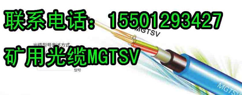 MGTSV-24b1矿用光缆型号批发